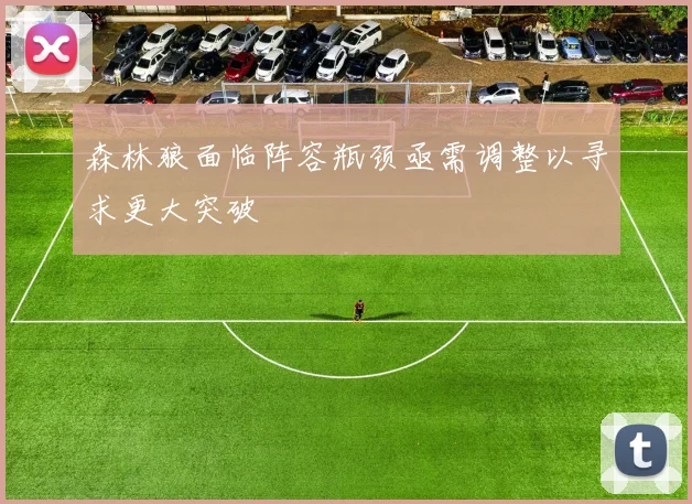 森林狼面临阵容瓶颈亟需调整以寻求更大突破