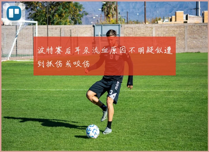波特赛后耳朵流血原因不明疑似遭到抓伤或咬伤